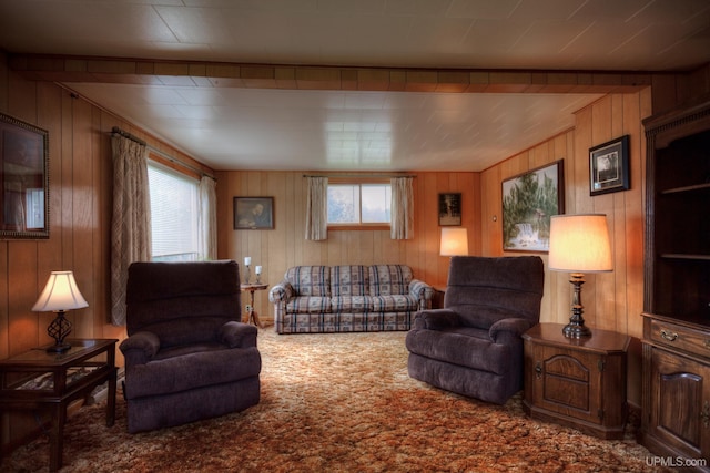 living room with carpet flooring and wooden walls