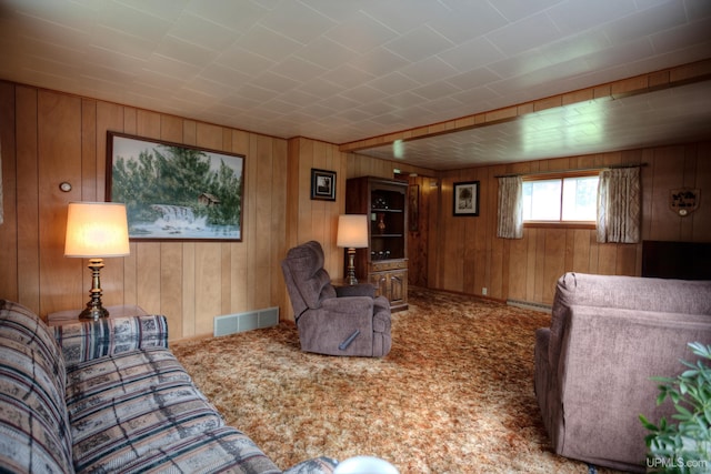 living room with wooden walls, carpet floors, and a baseboard radiator