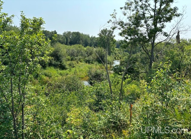 Listing photo 3 for TBDLOT5 E Lahti Rd, Houghton MI 49931