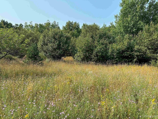 Listing photo 3 for TBD,Lot5W Lahti Road, Houghton MI 49931