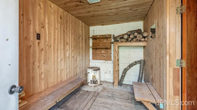 view of sauna featuring wooden walls and wood ceiling