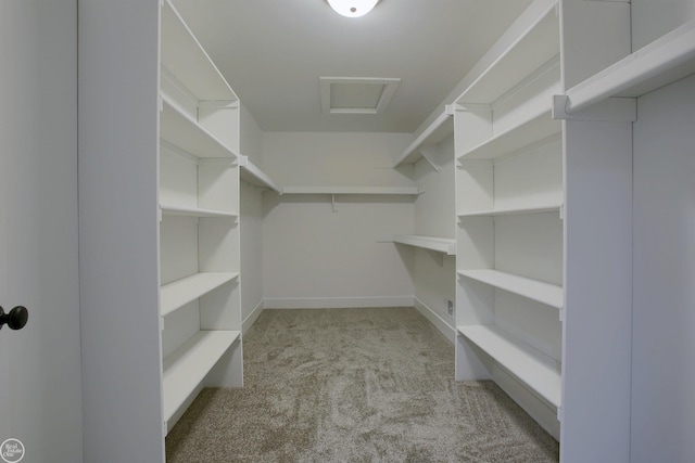 spacious closet with light colored carpet and attic access