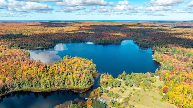 birds eye view of property with a view of trees and a water view