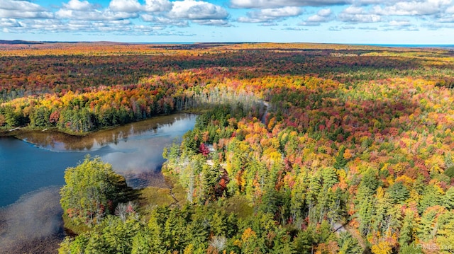 bird's eye view with a water view and a wooded view