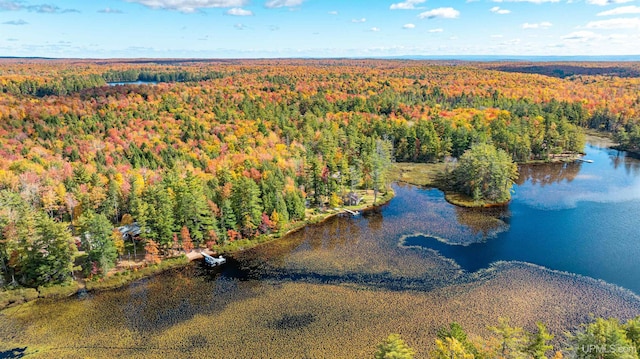 drone / aerial view with a water view and a forest view