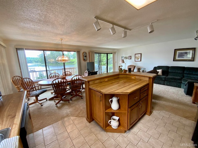 kitchen featuring pendant lighting, wood counters, rail lighting, and light colored carpet