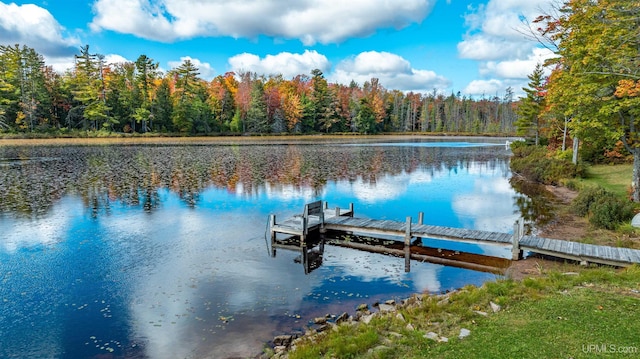 dock area featuring a water view and a view of trees