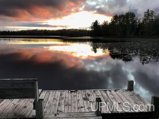 view of dock featuring a water view and a view of trees