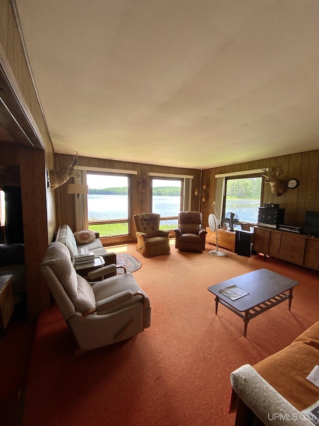 living room with wooden walls and carpet