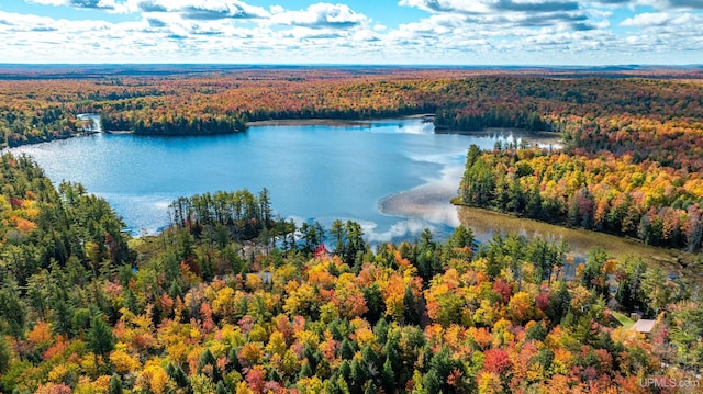 bird's eye view featuring a water view and a wooded view
