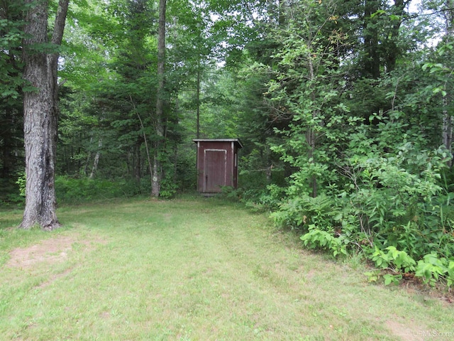 view of yard with a storage unit