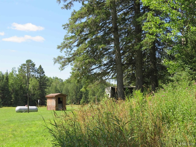 view of yard featuring a storage unit