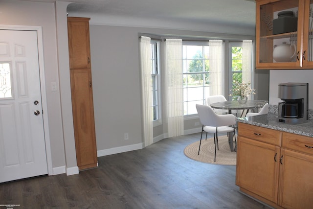 interior space with dark wood-type flooring, light stone counters, and a wealth of natural light