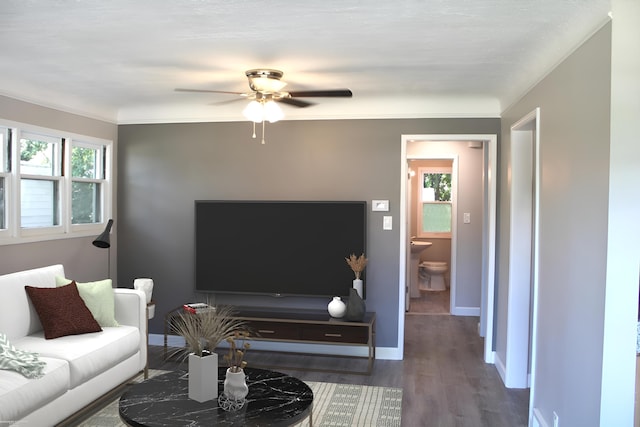 living room with ceiling fan and wood-type flooring