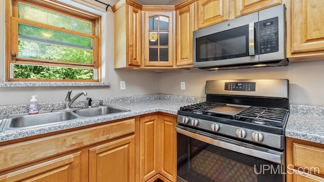 kitchen featuring light brown cabinetry, sink, stainless steel appliances, and a wealth of natural light