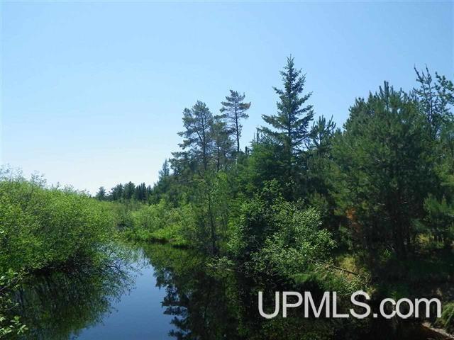 50/-ACRES Walstroms Rd, Republic MI, 49879 land for sale