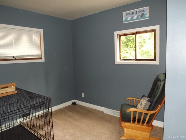 sitting room with carpet floors