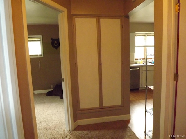 hallway with carpet floors and plenty of natural light