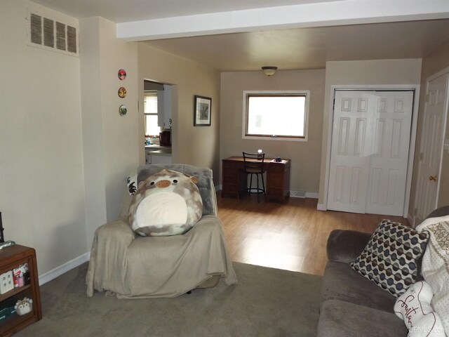 interior space with a closet, hardwood / wood-style flooring, and multiple windows