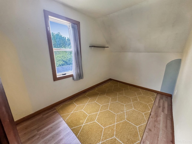 additional living space with lofted ceiling and wood-type flooring