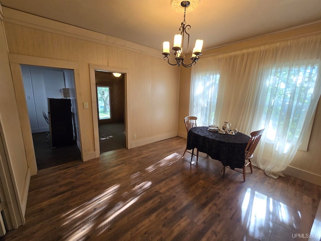 dining room featuring dark hardwood / wood-style flooring and a chandelier