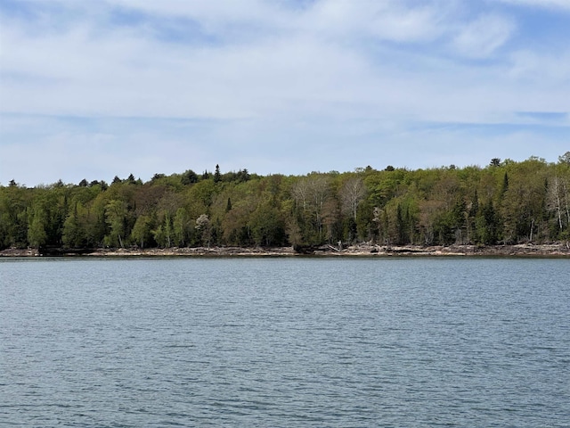 Wood Is, Munising, MI 49862