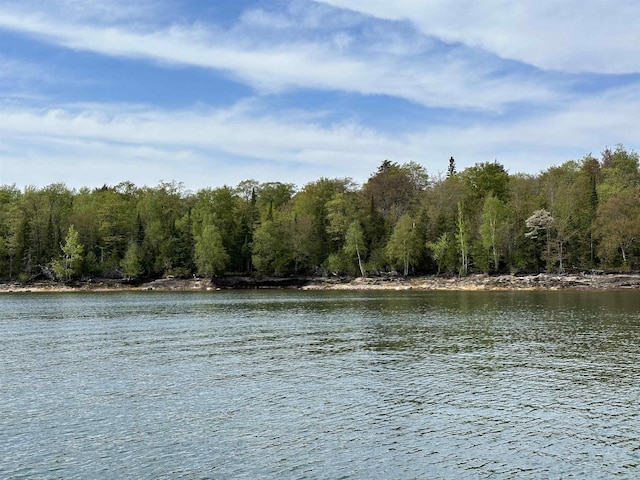 Wood Is, Munising, MI 49862