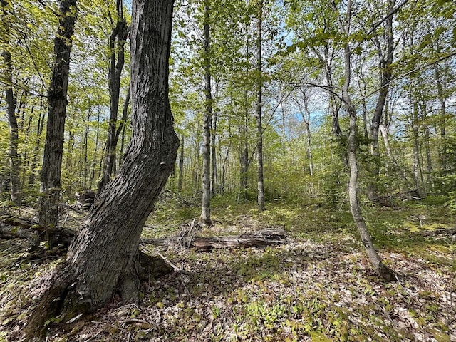 Wood Is, Munising, MI 49862