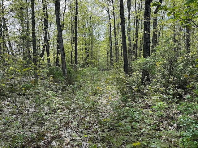 Wood Is, Munising, MI 49862