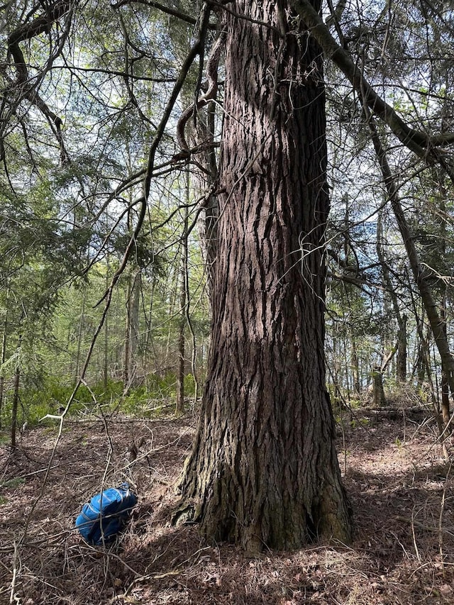 Wood Is, Munising, MI 49862