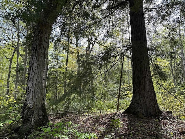 Wood Is, Munising, MI 49862