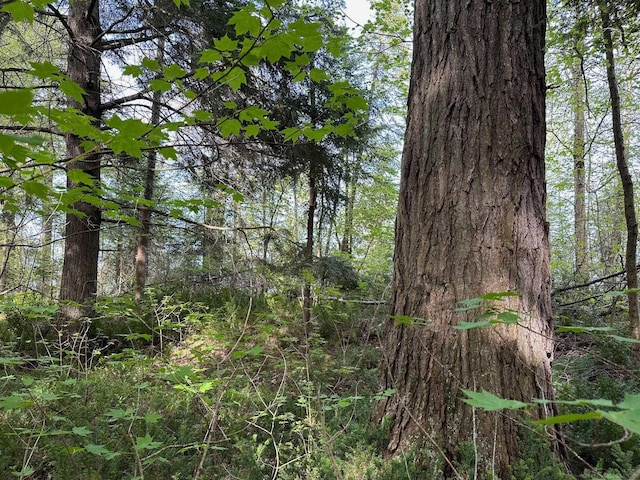 Wood Is, Munising, MI 49862