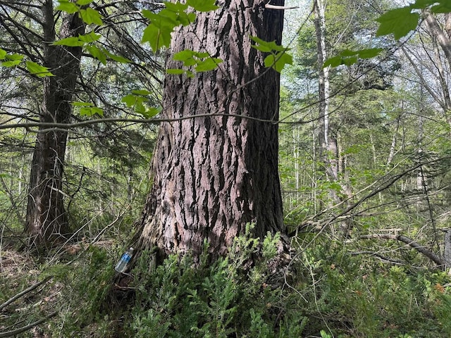 Wood Is, Munising, MI 49862