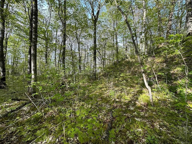 Wood Is, Munising, MI 49862