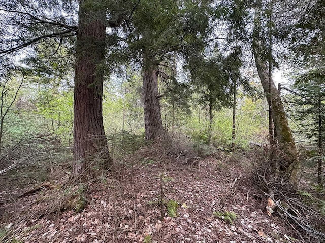 Wood Is, Munising, MI 49862