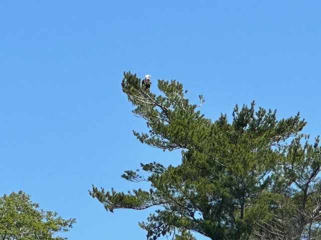 Wood Is, Munising, MI 49862