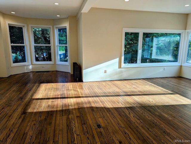 empty room featuring dark hardwood / wood-style floors