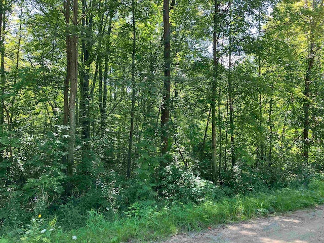 3642 Beech St, Beaverton MI, 48612 land for sale