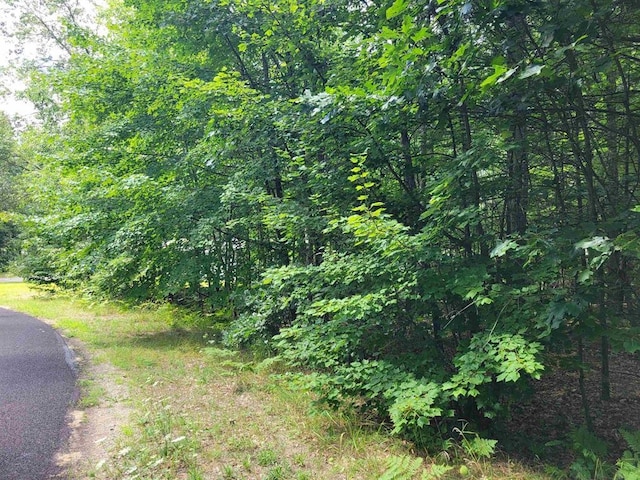 LOT533 Winding Dr, Houghton Lake MI, 48629 land for sale