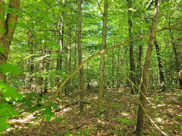 Listing photo 2 for LOT533 Winding Dr, Houghton Lake MI 48629