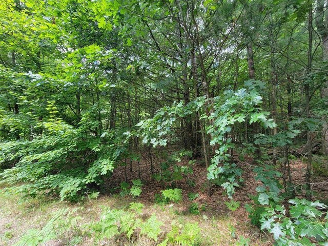 Listing photo 3 for LOT533 Winding Dr, Houghton Lake MI 48629