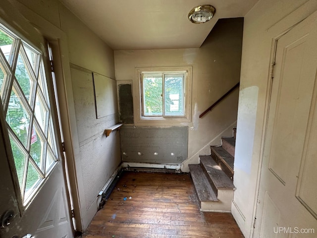 stairway with hardwood / wood-style flooring