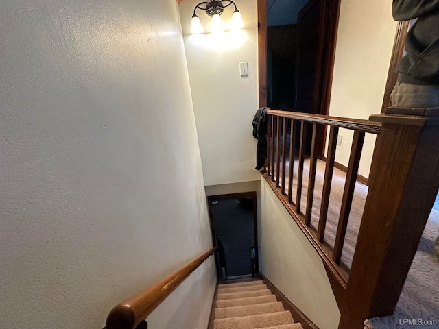 staircase featuring carpet