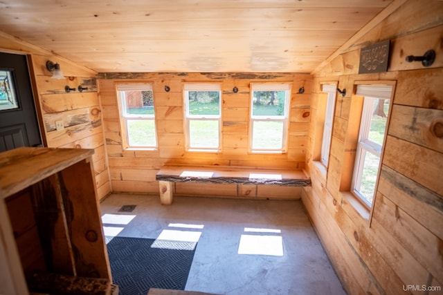 interior space with wooden walls, a wealth of natural light, and lofted ceiling