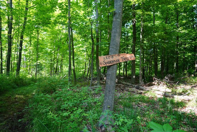 14998 N Superior Rd, Houghton, MI 49931 - exterior view of a wooded view