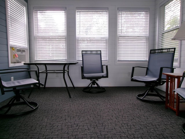 carpeted home office featuring a wealth of natural light