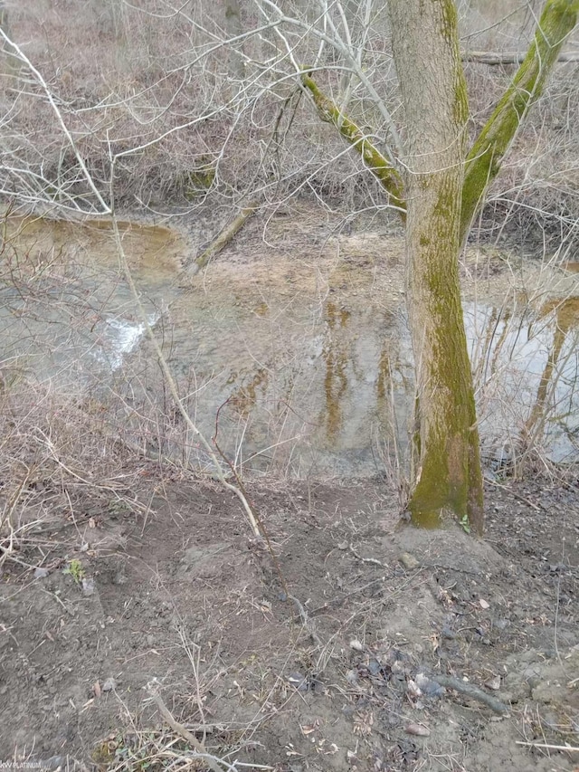 view of local wilderness featuring a water view