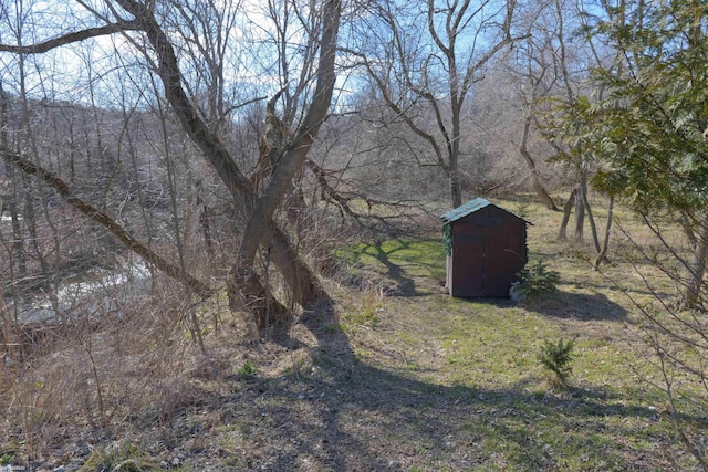 view of yard with a shed