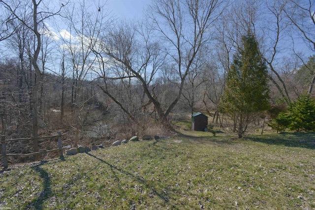 view of yard featuring a storage unit