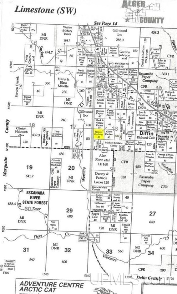 TBD Diffin Rd, Limestone MI, 49891 land for sale